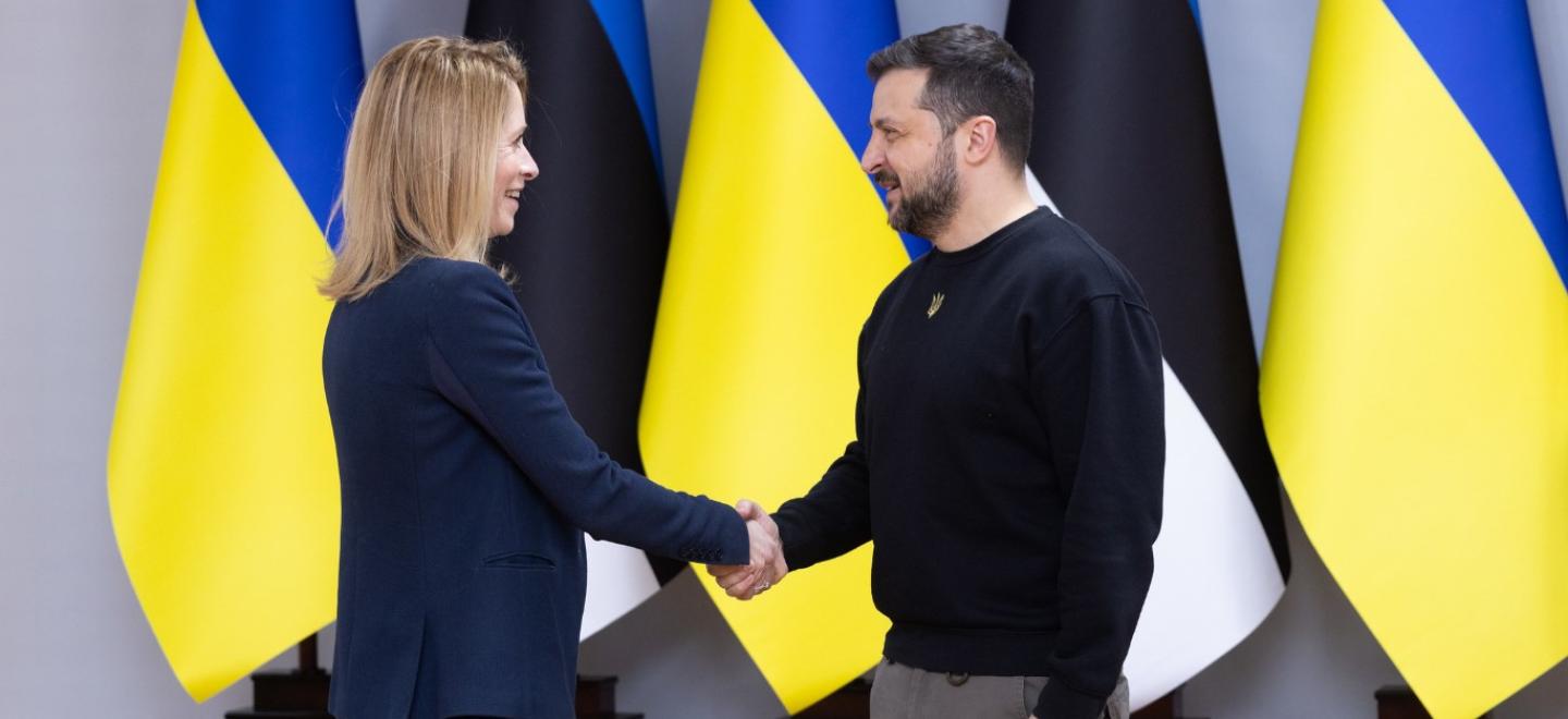 Kallas-Zelenskyy