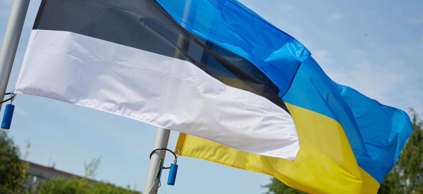 Eesti ja Ukraina lipud