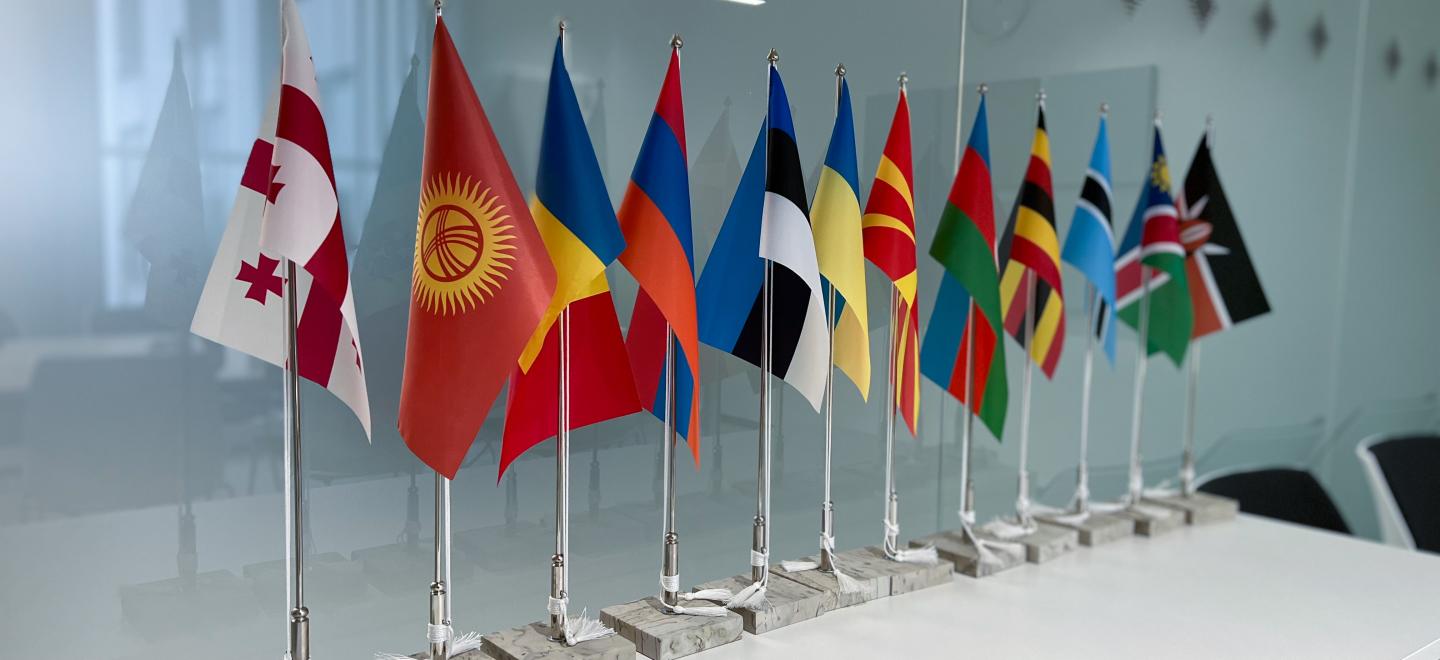 ESTDEV flags
