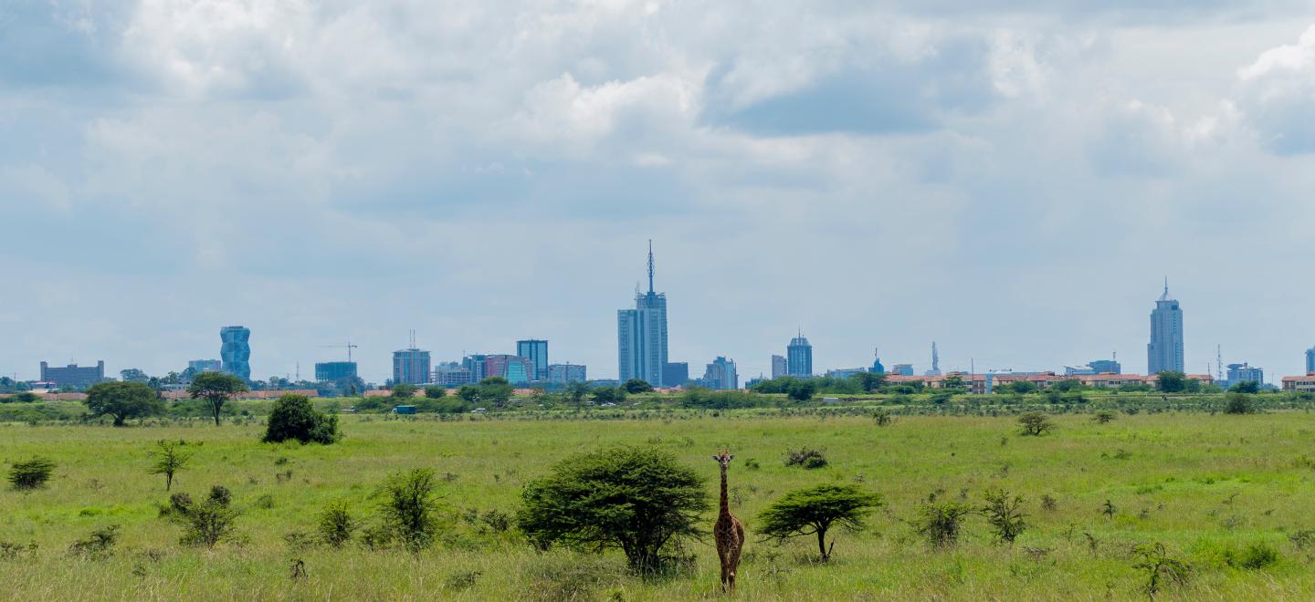 Nairobi Kenya ESTDEV